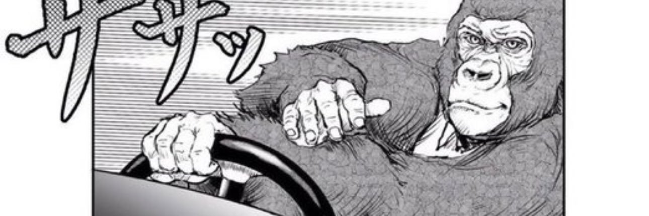 ogBip's profile banner image