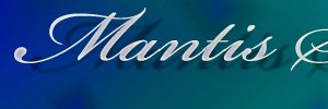 Mantis Presents's banner