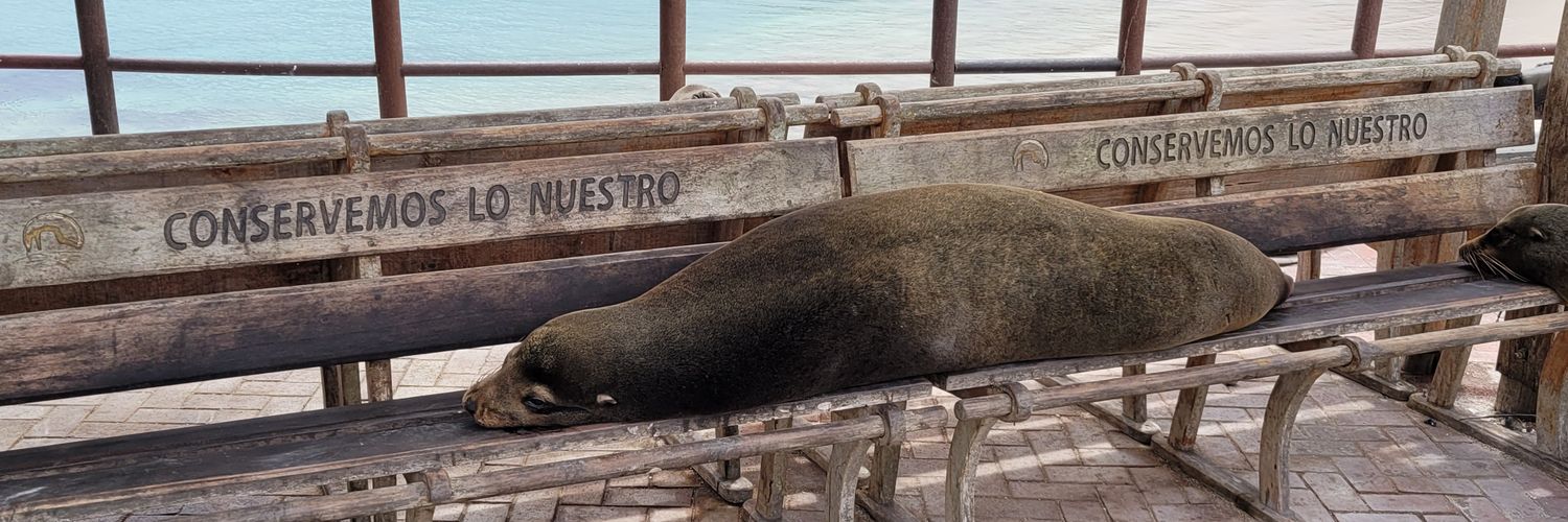 FarrandoIgnacio's profile banner image