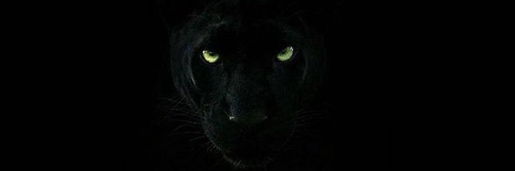 azoz4440's profile banner image