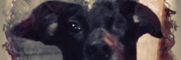 VeroRluna Profile Banner
