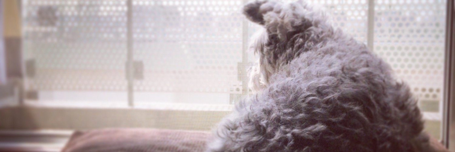 otabe7010's profile banner image