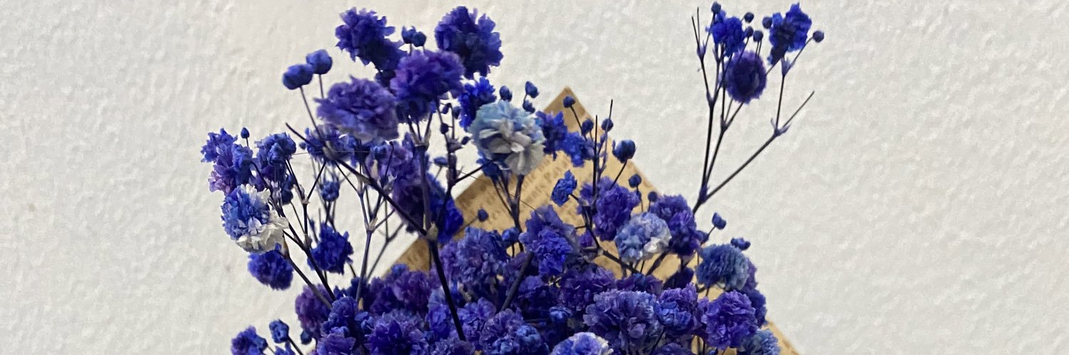 aqeeeeeela's profile banner image