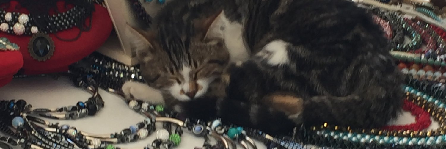 didarfatma's profile banner image