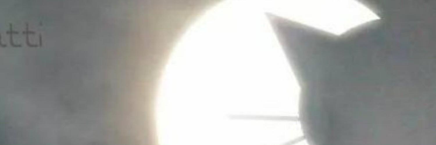 palmebiscottate's profile banner image