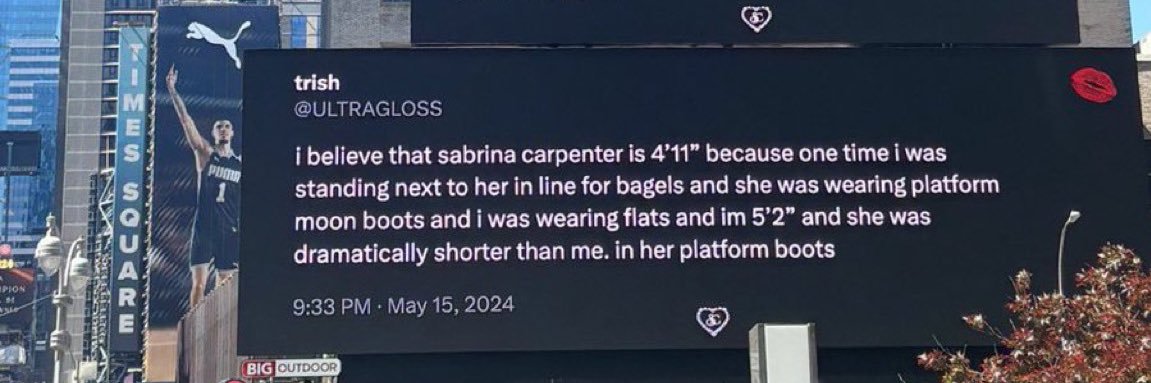 trish's banner
