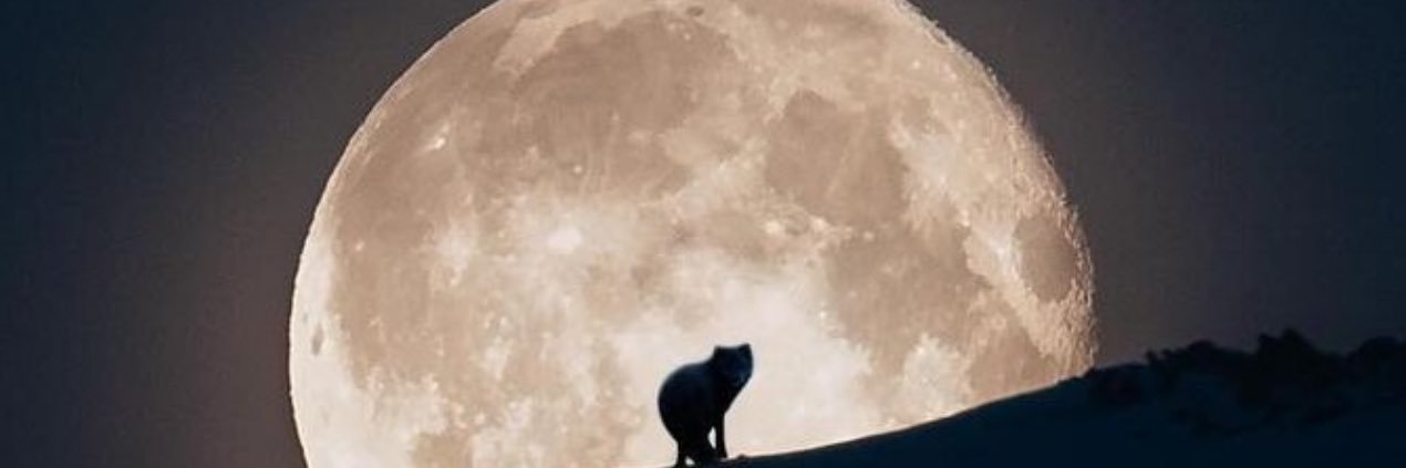 griswold71's profile banner image