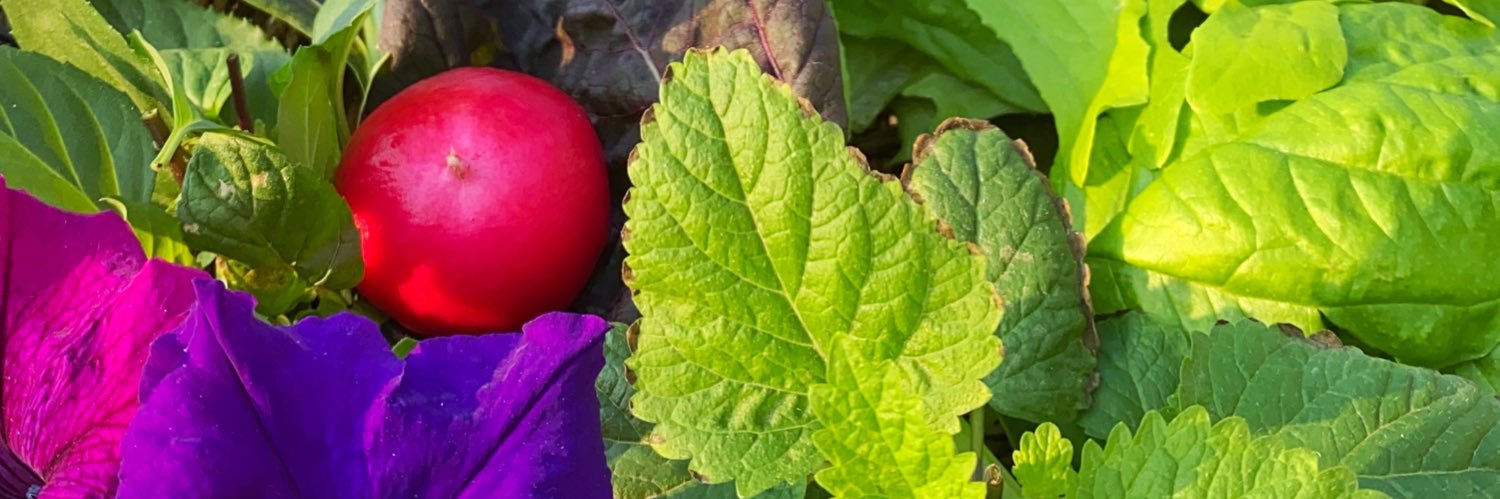 ام عزان الكثيري banner