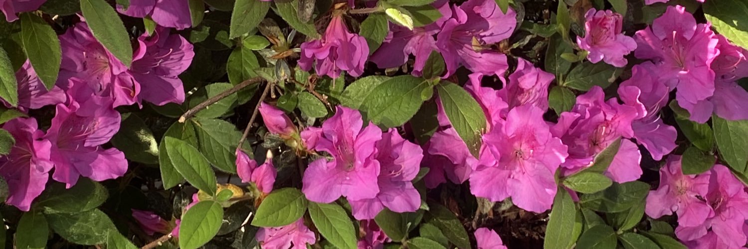 jwareee_'s profile banner image