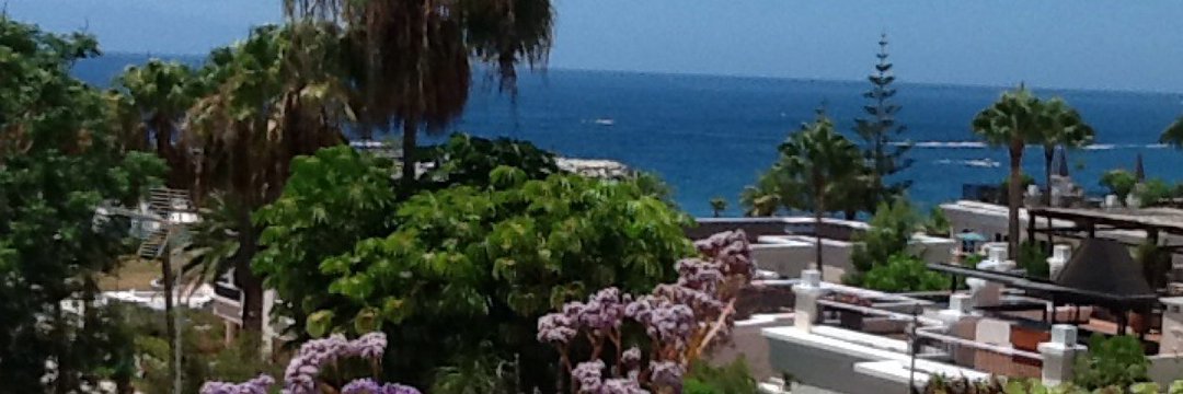 Prof. Alan M Smith banner