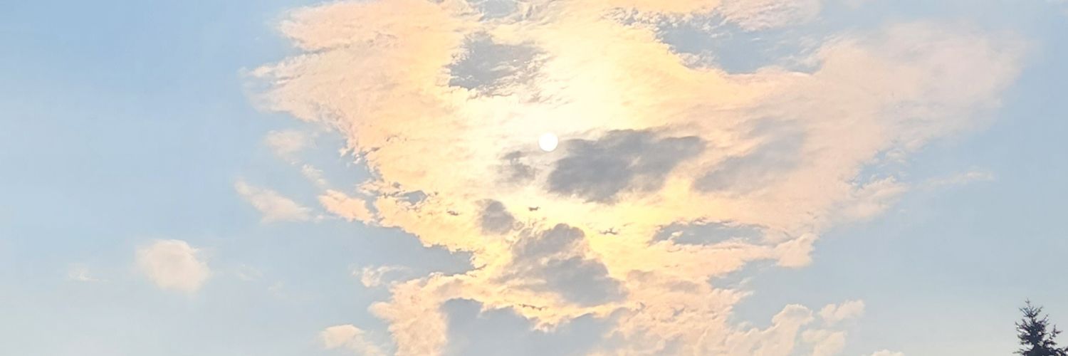 cbdbutterfly's profile banner image