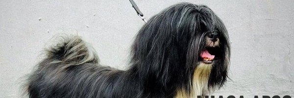 BigMan_Xander Profile Banner