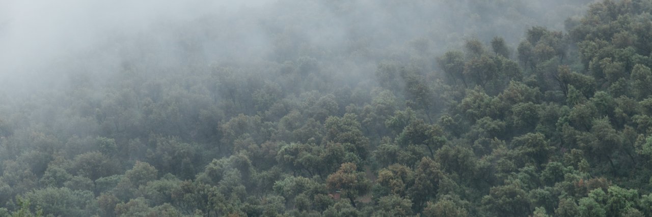 ROSELENA RAMISTELLA banner