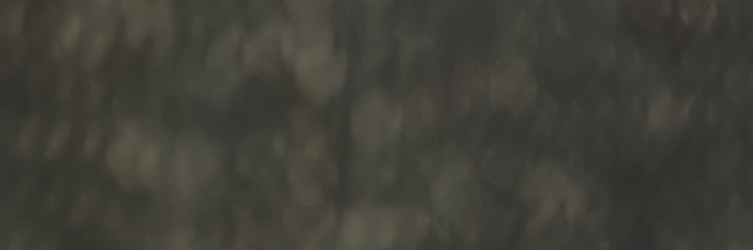 dntboovote! banner