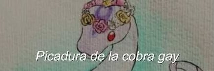 Lacobrag4y's profile banner image