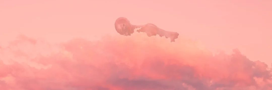 Yaelpasco's profile banner image