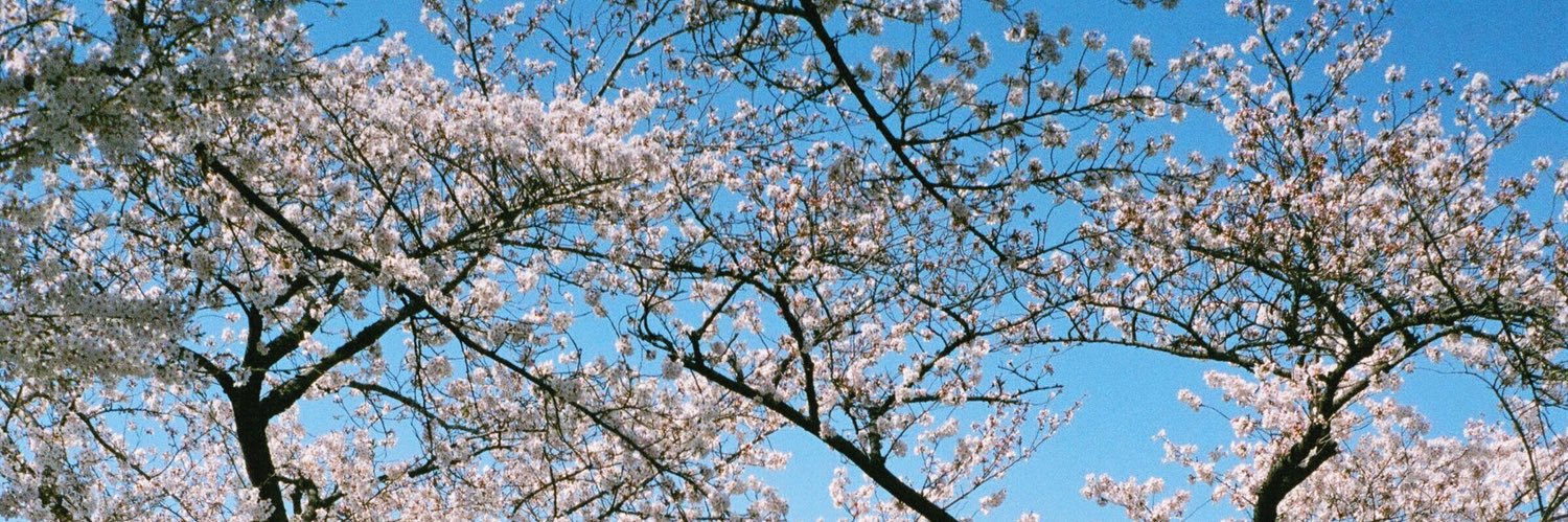 yoomsters's profile banner image