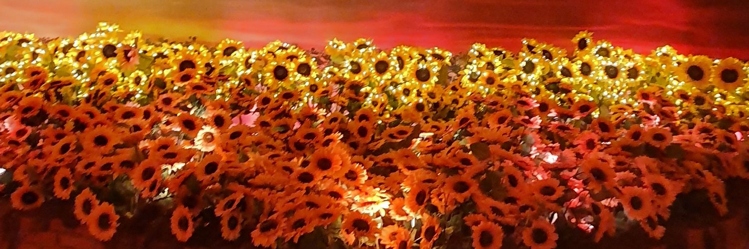 Yellou__'s profile banner image