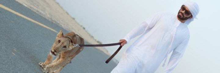 7mdalmamari's profile banner image