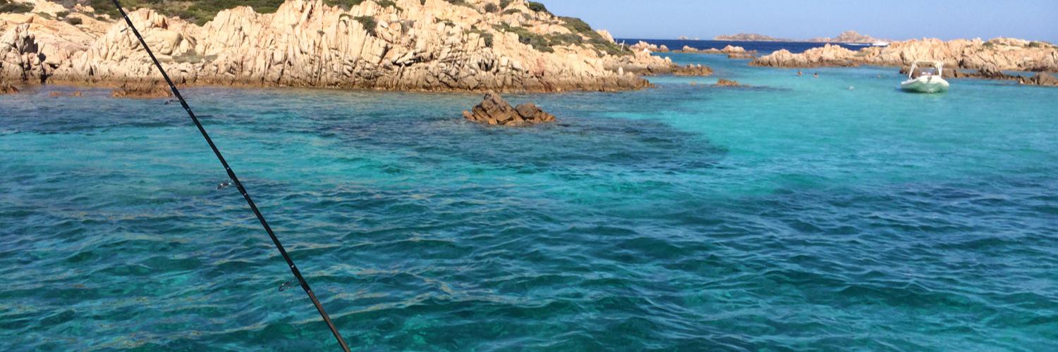 Martine Malinbaum banner