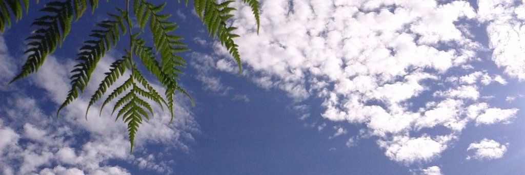 fkwebeiha's profile banner image