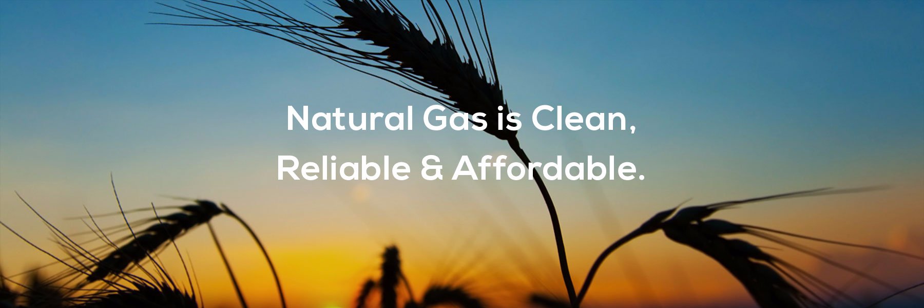 Natural Gas Solution banner