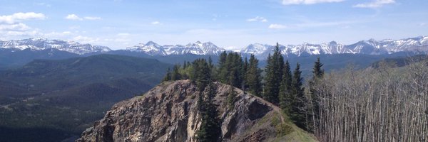 michell29537821 Profile Banner