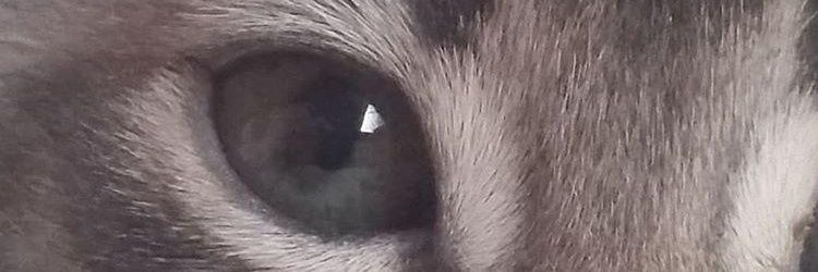 JohePb's profile banner image