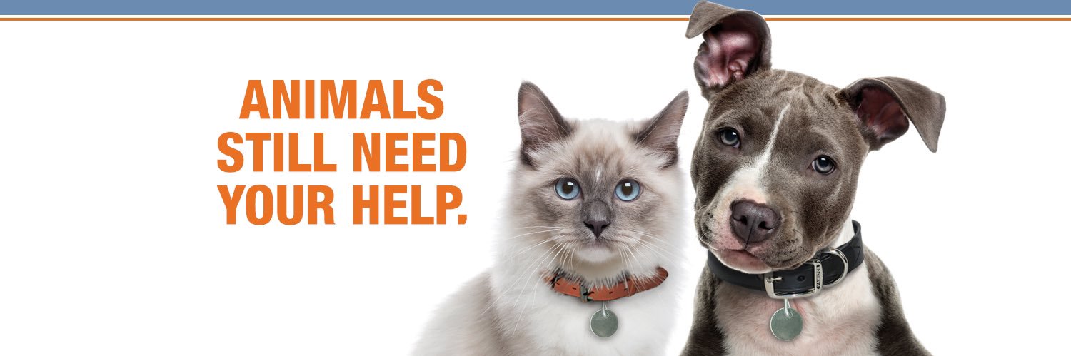 Humane Animal Partners banner