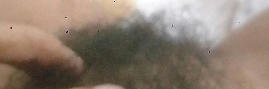 nonamebam's profile banner image