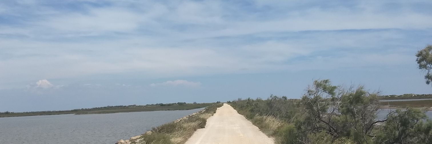 chocolat 🍫🍊 banner