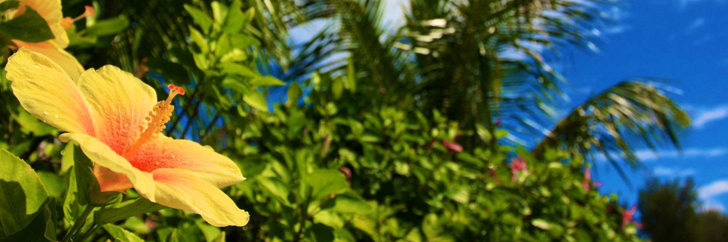 besty_10shun's profile banner image