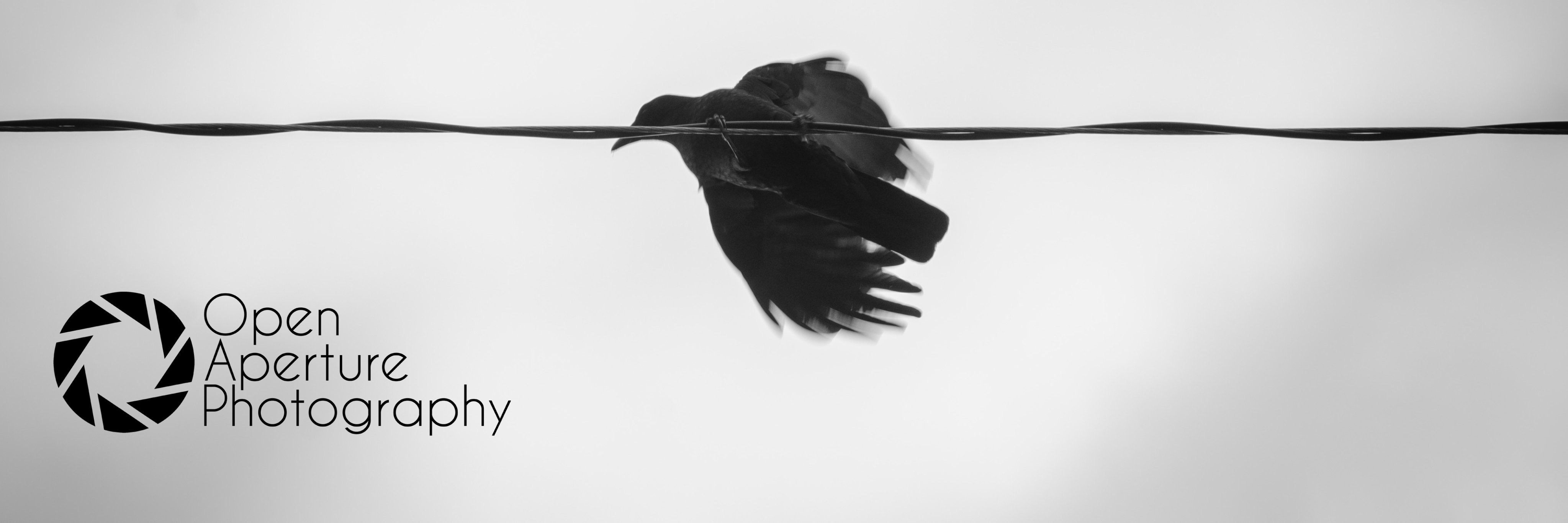 Jordan Humphreys banner