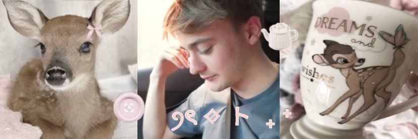 Danii ໋𝜗𝜚 VOY A VER A BTS banner