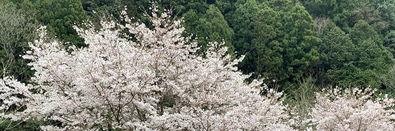 Yoshiurara's profile banner image