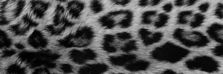 хейтер banner