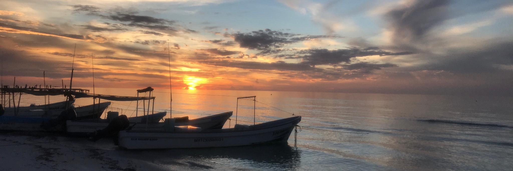 Sandra Artuñedo Márquez banner