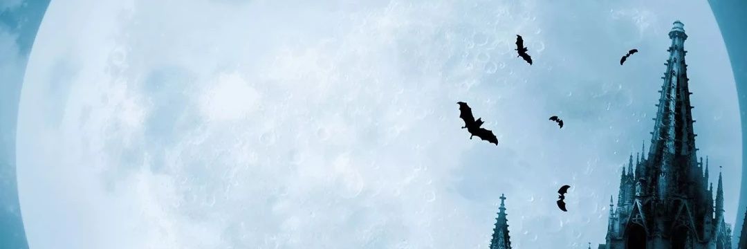 yck_software's profile banner image