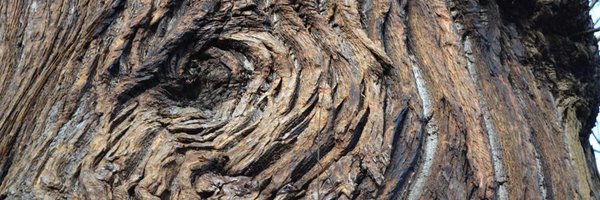 CroyTransition Profile Banner