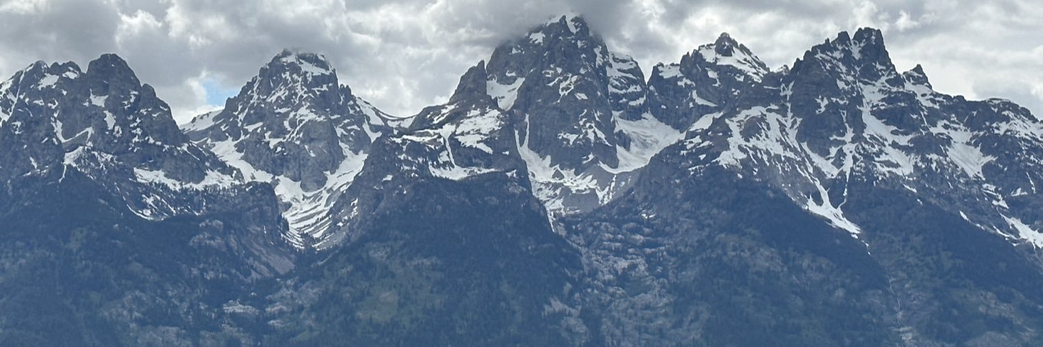 Lane Kingsbery 🌵 banner