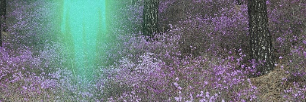 •♡((¯° αqυιℓα banner