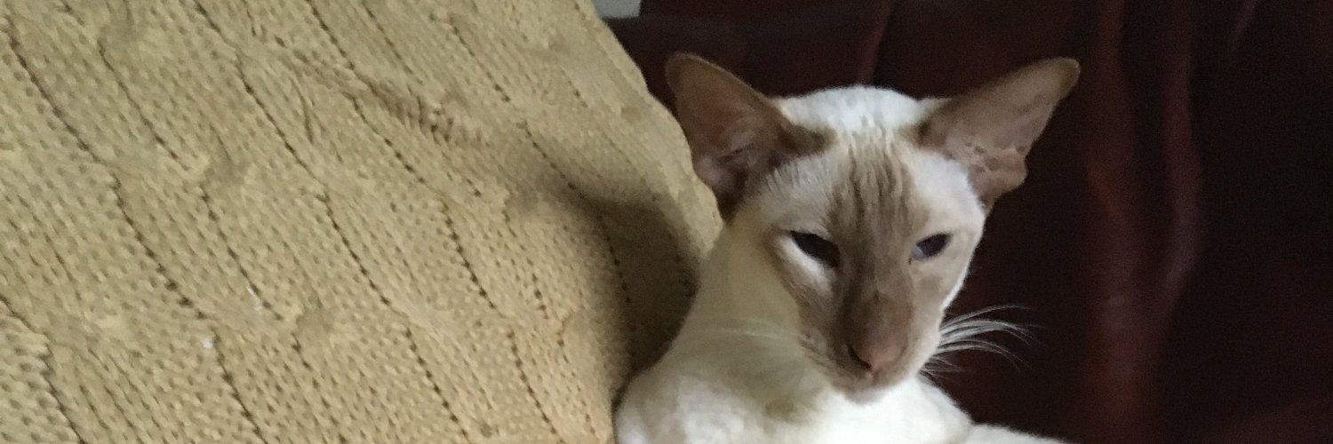 RichardTurton5's profile banner image
