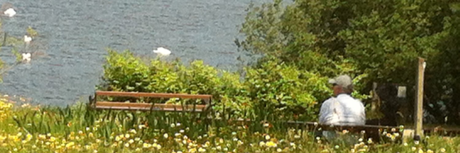 Stephen87767212's profile banner image