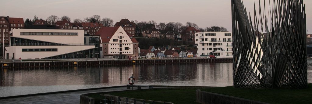 SønderborgNYT banner