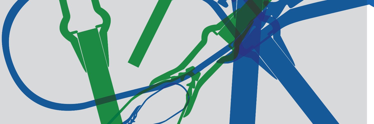 Bainbridge Print banner