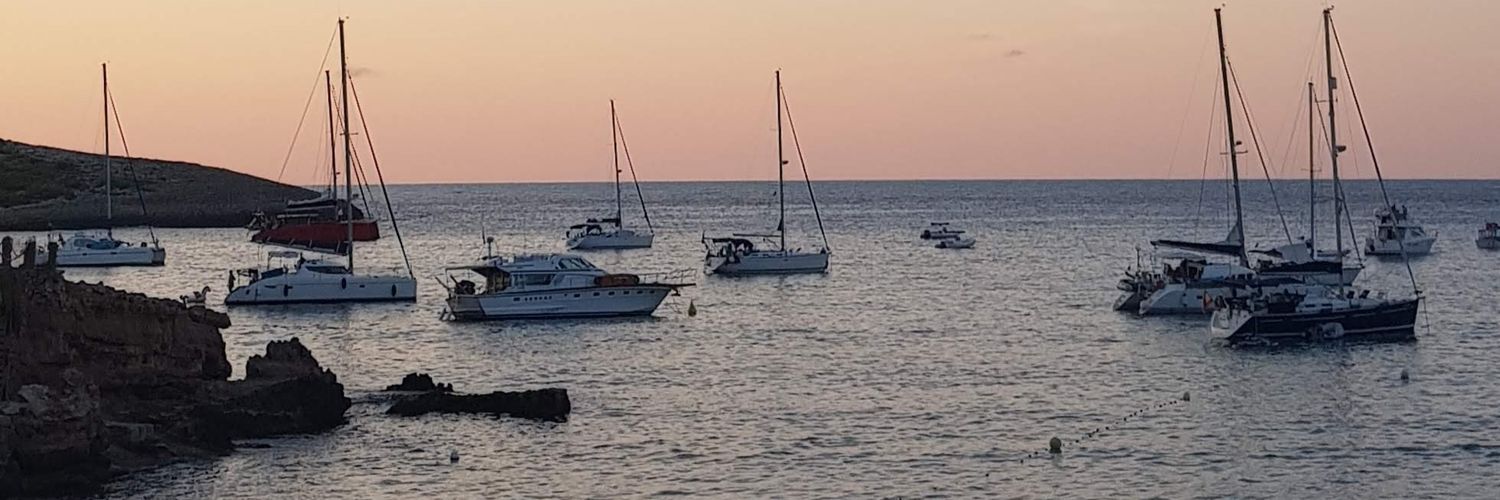 Mrs Muggleton banner