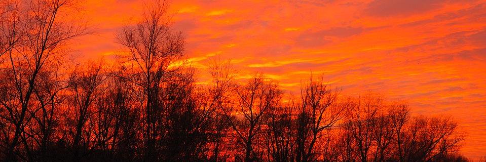 Impact Ethics banner