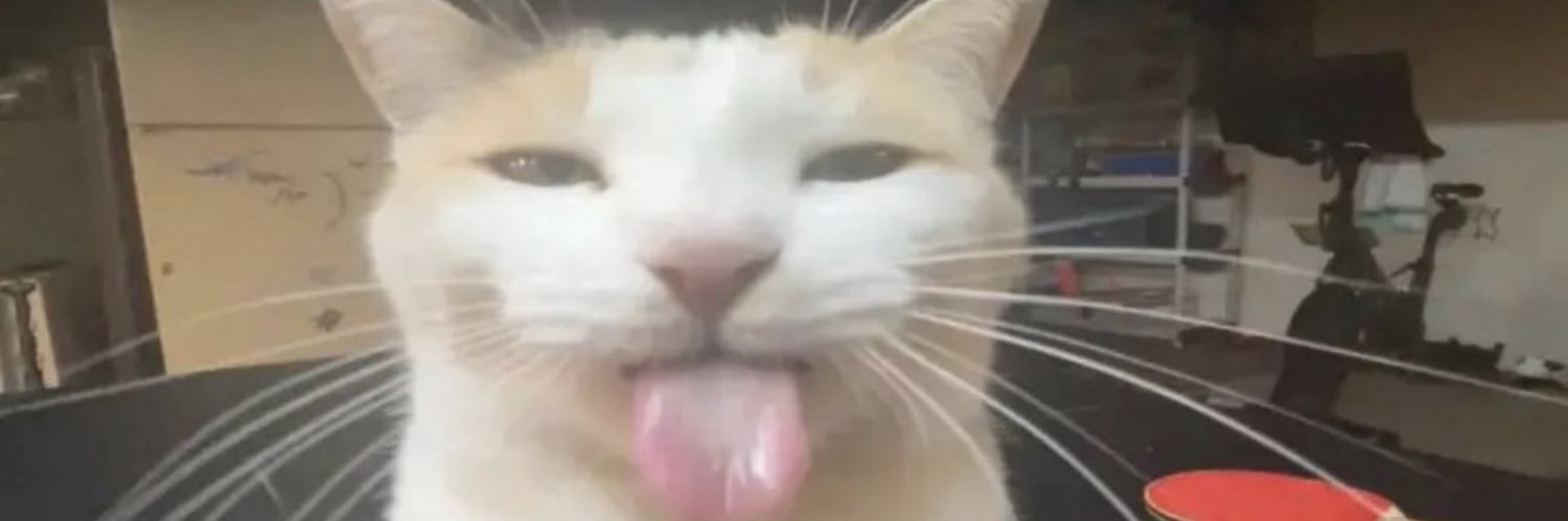 lohstfps's profile banner image