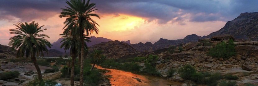 عبدالله الغامدي banner