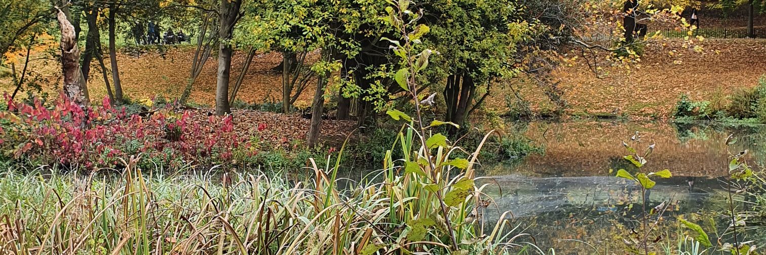 Emma Armstrong banner